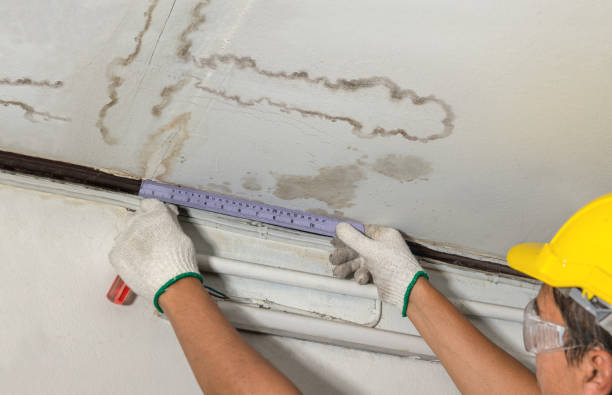 24/7 Emergency Water Damage Repair experts in Ypsilanti, ND
