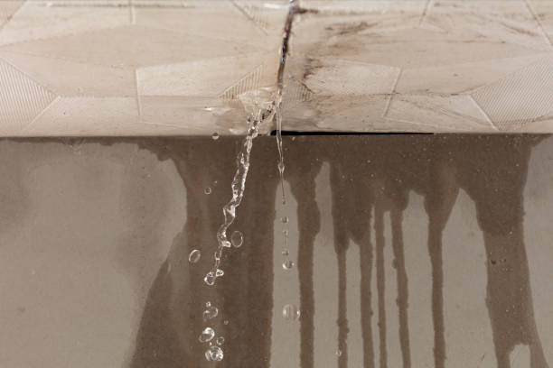 Professional Water Damage Repair technician working in Ypsilanti, ND